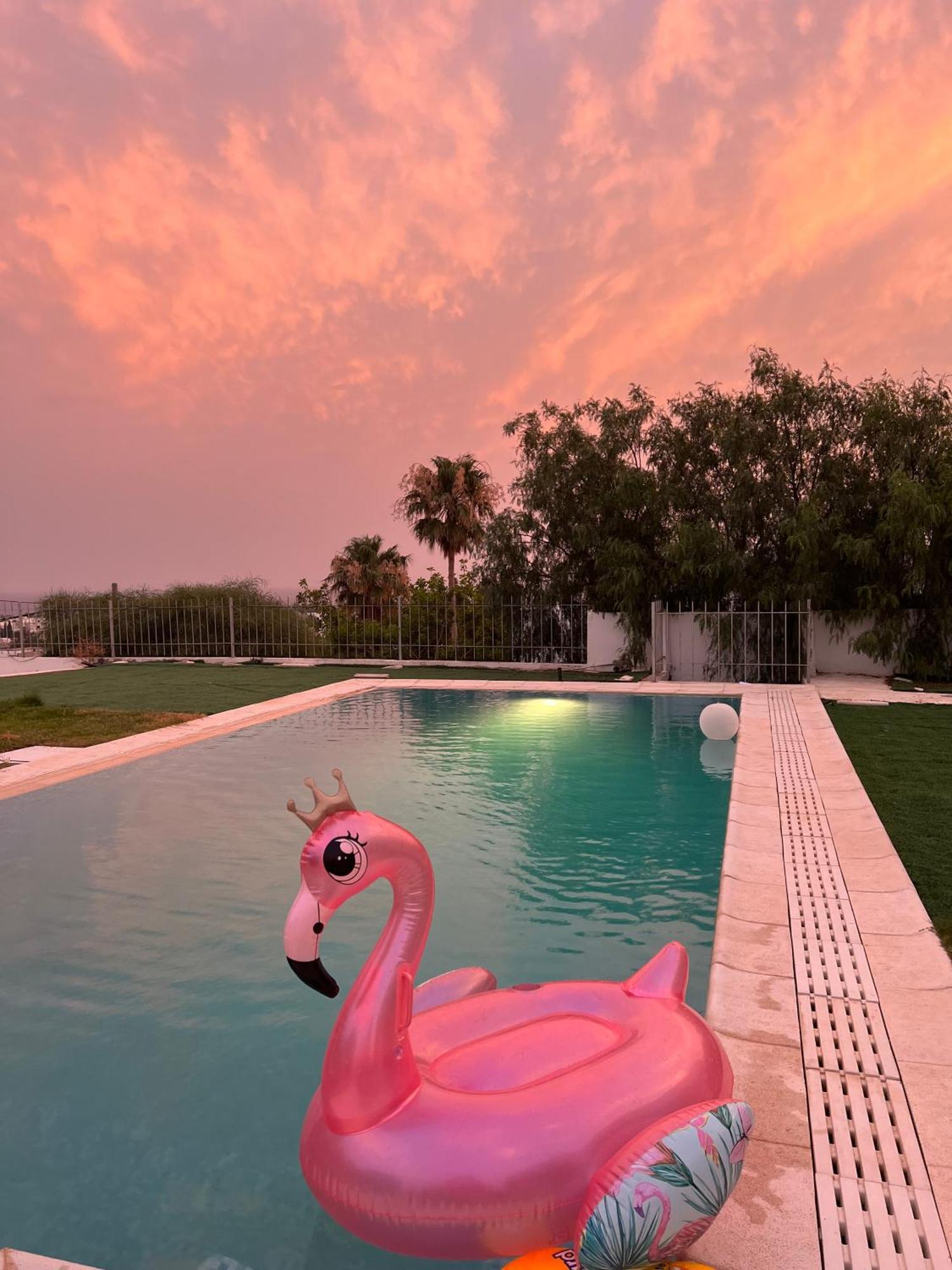 Hotel Chez Hayet Hammamet Exterior foto